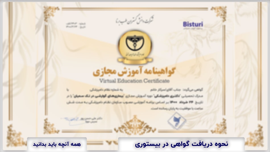 Certificate in The Bisturi