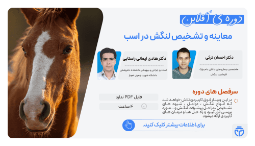 Examination and Diagnosis of Lameness in Horses - Dr Hadi Imani - Dr Ehsan Torki