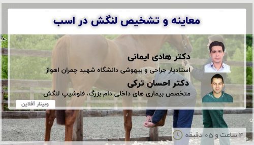 Examination and Diagnosis of Lameness in Horses - DR Hadi Imani - DR Ehsan Torki