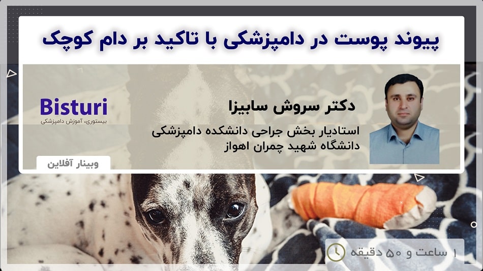 پیوند پوست در دامپزشکی با تاکید بر دام کوچک Skin Grafting in Veterinary Medicine With an Emphasis on Small Animals - DR Soroush Sabiza