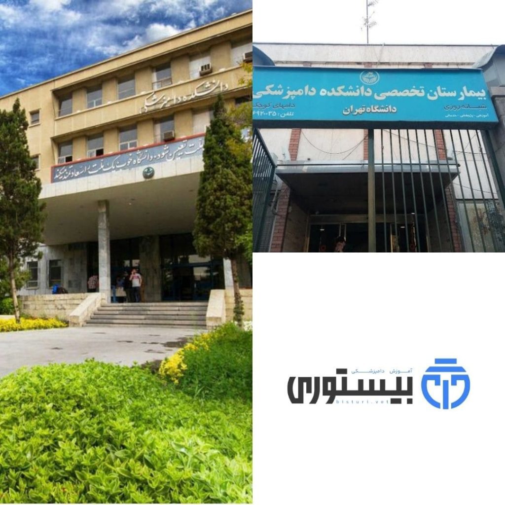 Tehran University - Veterinary Education